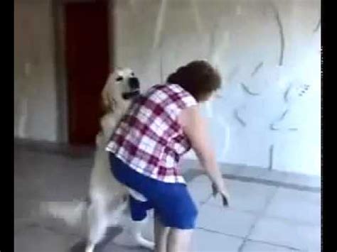 gorda transando|cão engatado & cachorro fica engatado com a mulher .